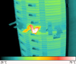 entretien_inspection_thermographique_mauvais_branchement_sur_transformateur